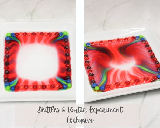Skittles & Water Experiment w/ Overhead Video! {Exclusive}