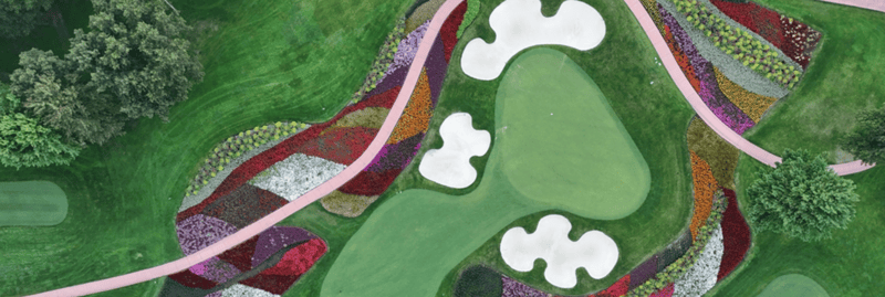 Will You Play the Flower Hole in 2025?