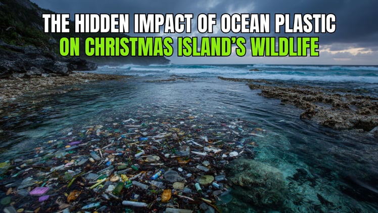 π±The Hidden Impact of Ocean Plastic on Christmas Islandβs Wildlife π’π΄