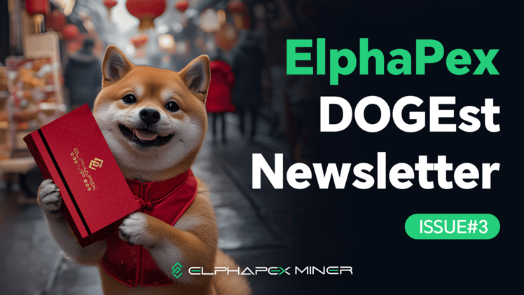 DOGEst Newsletter - Issue #3