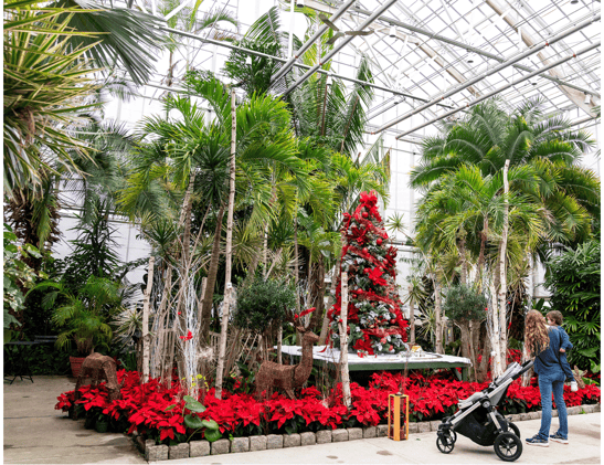 🗓️ Top Rhody Events Dec 12-14