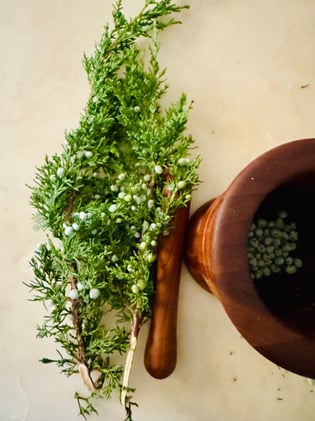 The Bitter Berry: Juniper, Bean Cakes, and Grief