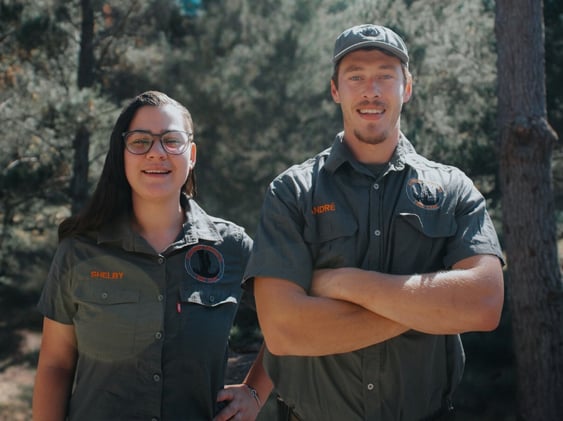 December will be Tree-mendous with Overberg Arborists & where to get your own fresh-cut pine Christmas Tree