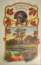 Jan's November Newsletter