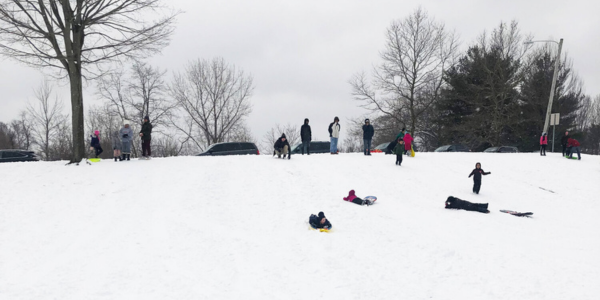 Sled-Worthy Hills + Downtown Thrills 🛷