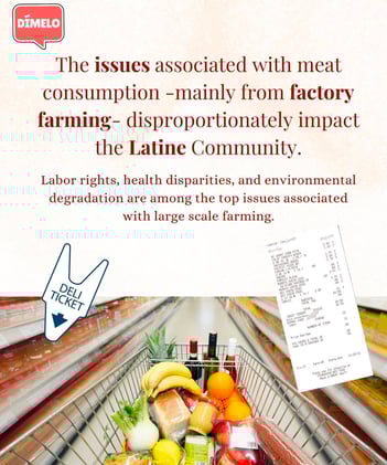 Sustainability Sin Fronteras - April 2024 