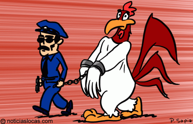 Gallo va a la cárcel por pelea entre vecinos