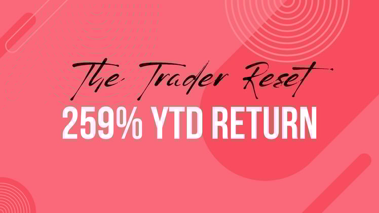 259% YTD Return