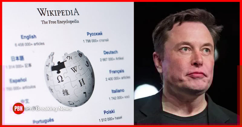 Musk, Wikipedia, Male Fitness Peak Revealed & MORE