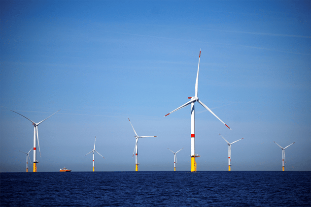 Renewable Insights  - 49th Edition 