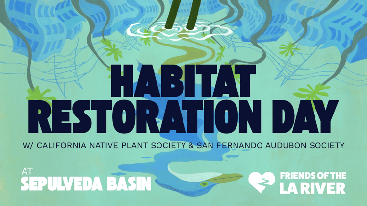 Holiday Edition - Sustainability Sin Fronteras