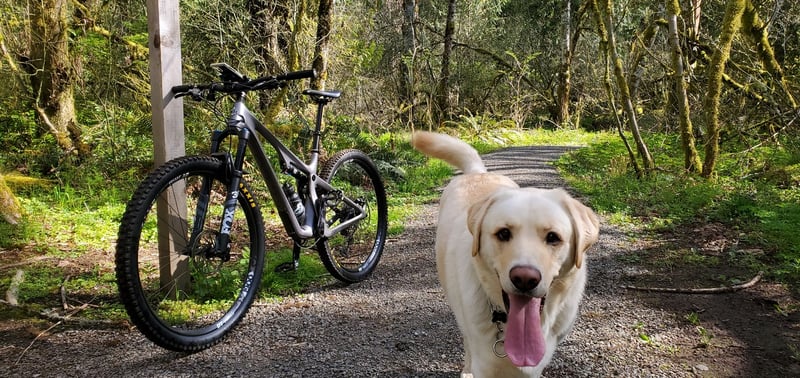 Variety Is The Spice Of Life