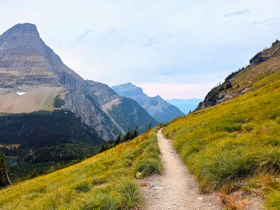 Are you the tortoise or the hare?