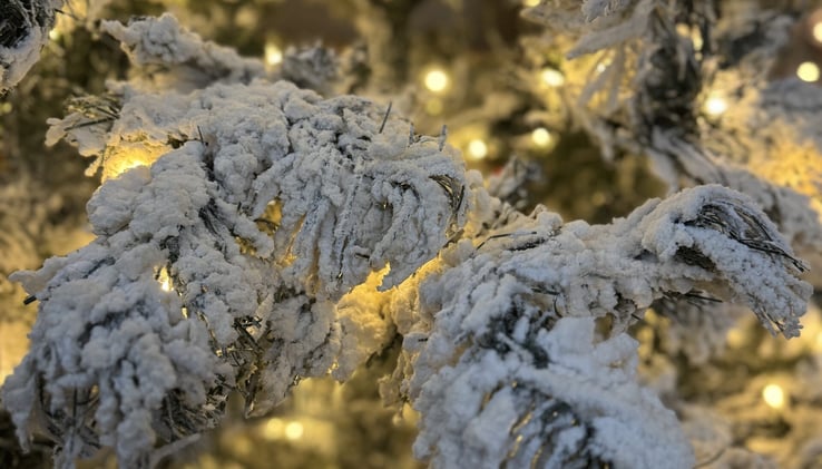 Community Moments and Winter Gatherings across South Placer