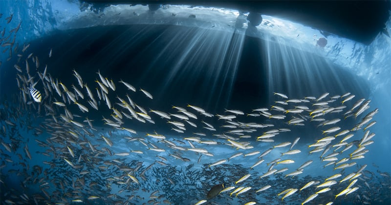 The Promising Eye: Natalie Yarrow on Her Award-Winning Year