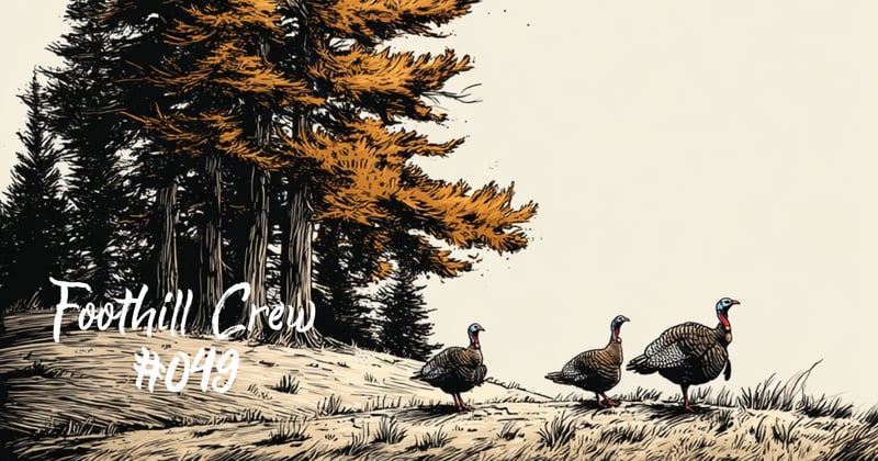 The Thanksgiving Edition