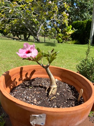 Perfection Doesn't Exist