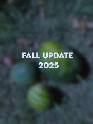 Fall Update