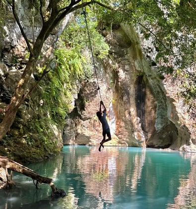 The Selling From the Beach Newsletter      