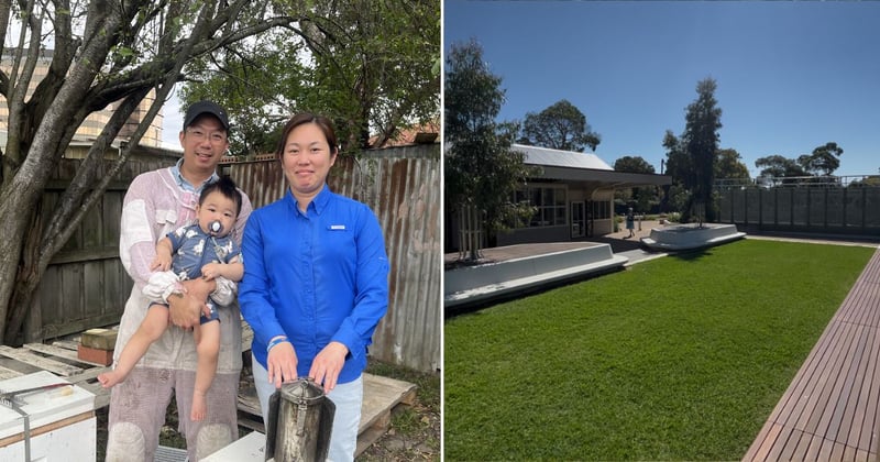 🟠 Busy bees and street trees