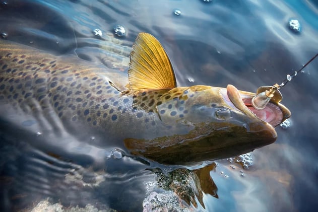 Crisp Air, Tight Lines—You Can’t Beat Fall Fishing
