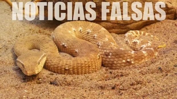 Diccionario de periodismo digital: “Noticias falsas”
