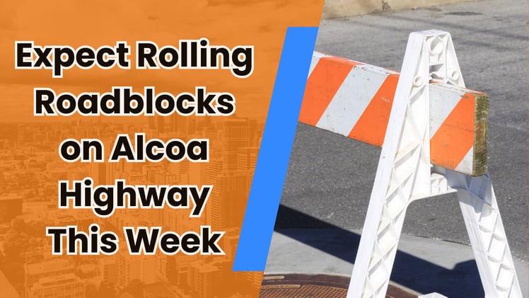 🕊️ A century-old space just got a second life