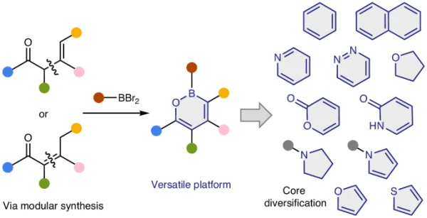 Boron at the Helm: Steering Molecules into New Shapes
