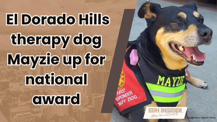EDH therapy dog up for national award (and she deserves it)