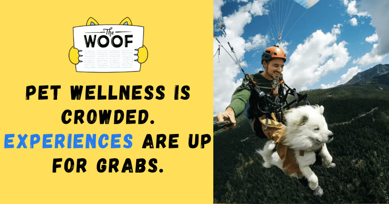 Pet Wellness Is Crowded. Experiences Are Up for Grabs.