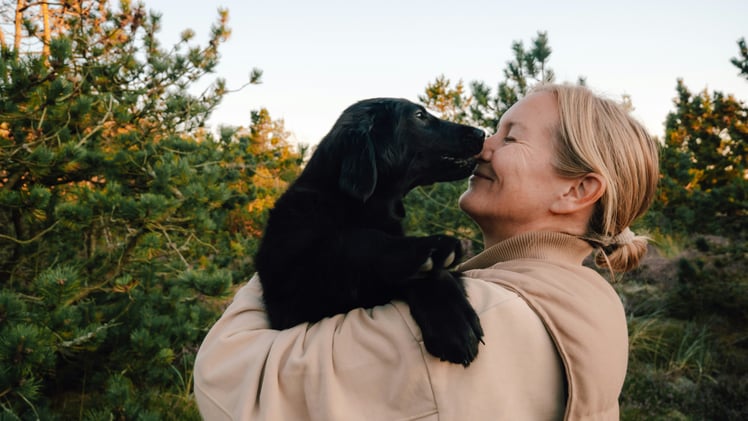 🐕 Tips to help your dog de-stress