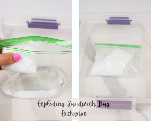 Exploding Sandwich Bag W/ Video! {Exclusive} SOLD