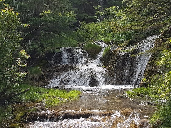 🍛 The Best Butter Chicken in the NW, $49 Flames Tickets, and more