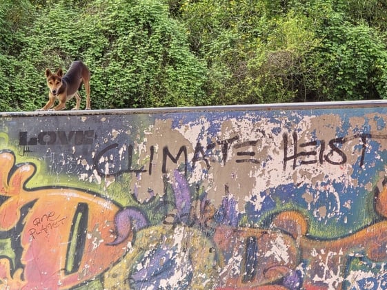 Newsport Alert Thursday 09 October 2025