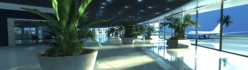 The Concourse | August '25