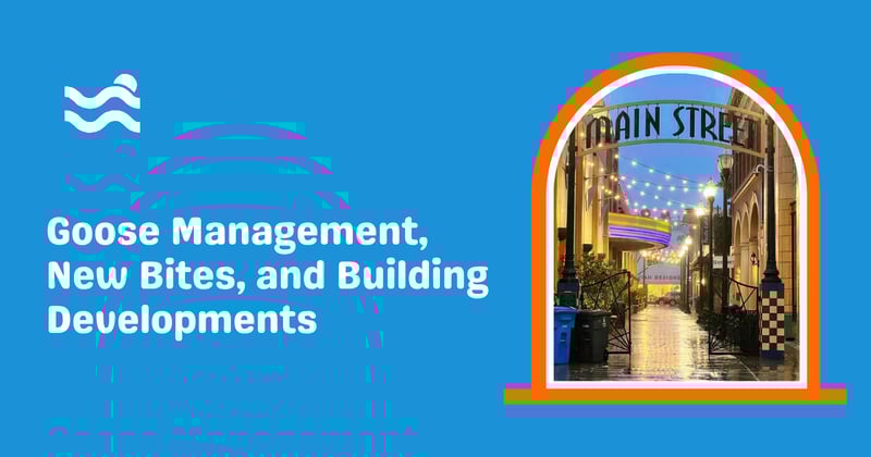 ๐ชฟ Goose Management, New Bites, and Building Developments