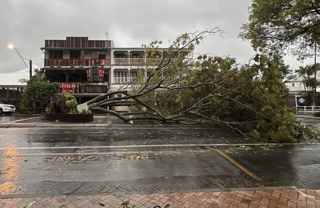 Newsport Alert Thursday 4 December 2025