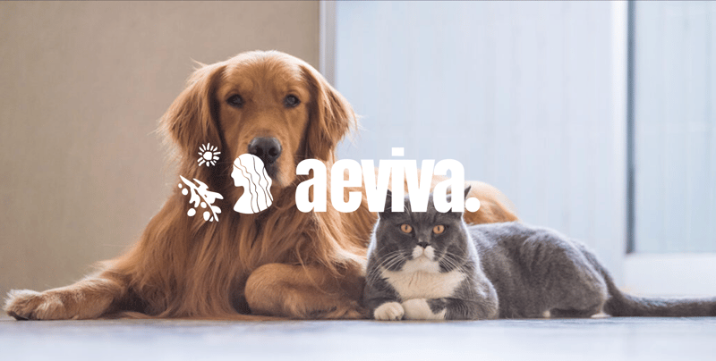 Do Pets Need Supplements?