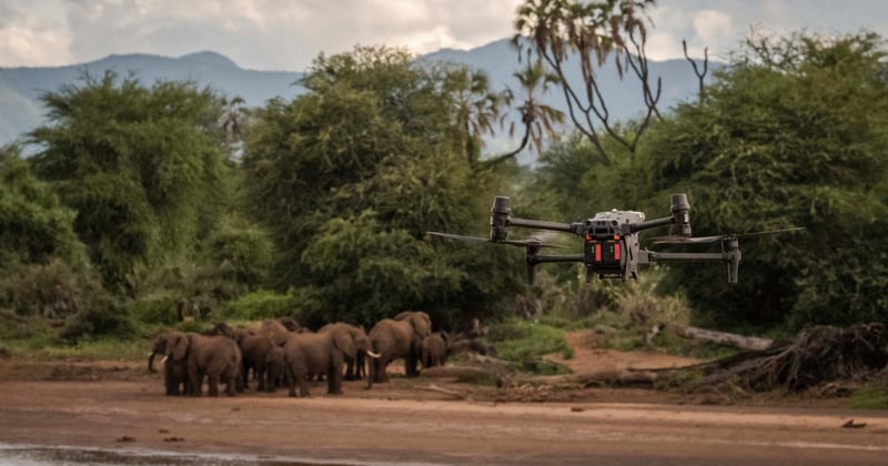 Not just species but technologies can be invasive too