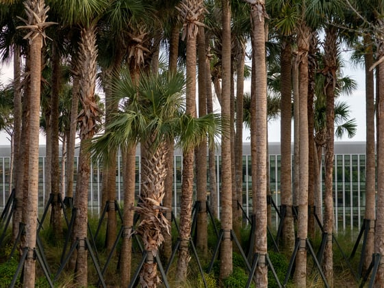 September 13th, 2025