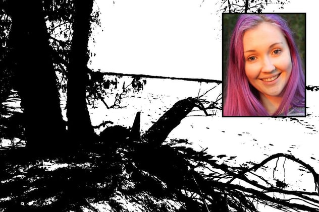 Newsport Alert Wednesday 12 November 2025