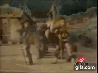 Screaming in the Night and Also During Literally All Other Hours