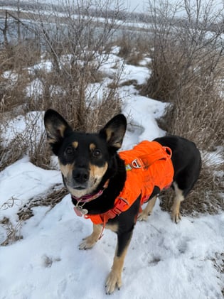 Incremental Progress