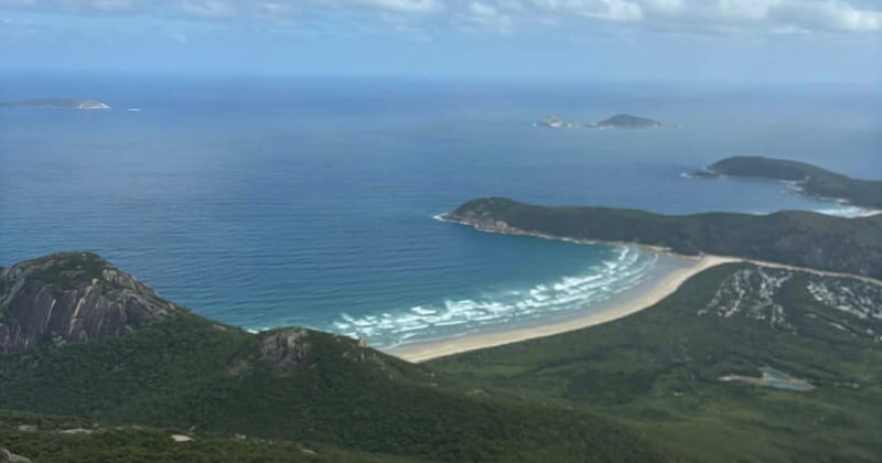 🍑 Where’d all my peaches go?