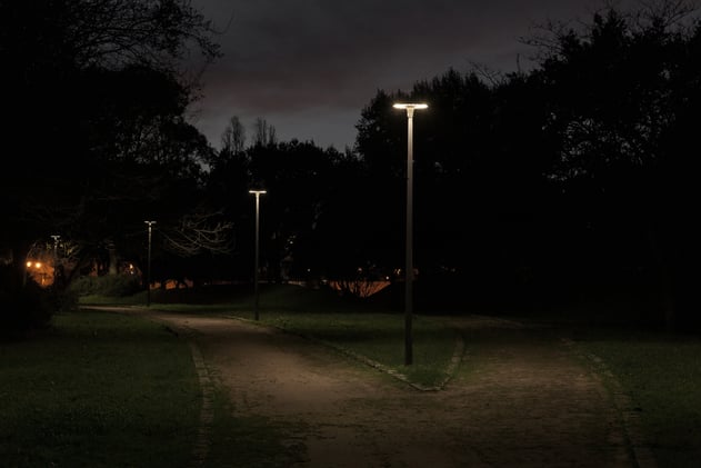 Issue 23: The Geometry of Freedom