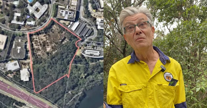 Locals stand firm in fight to save acres of native Lane Cove bushland from data centre