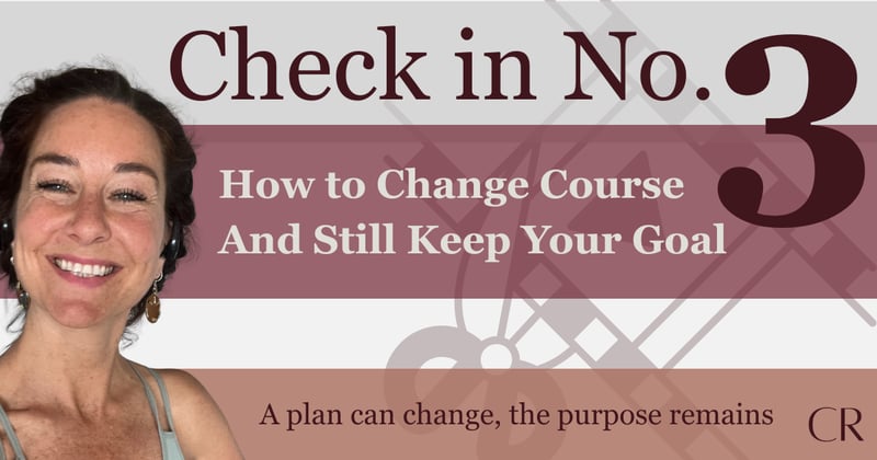 Check in No.3 | Stop fighting. Start adapting.