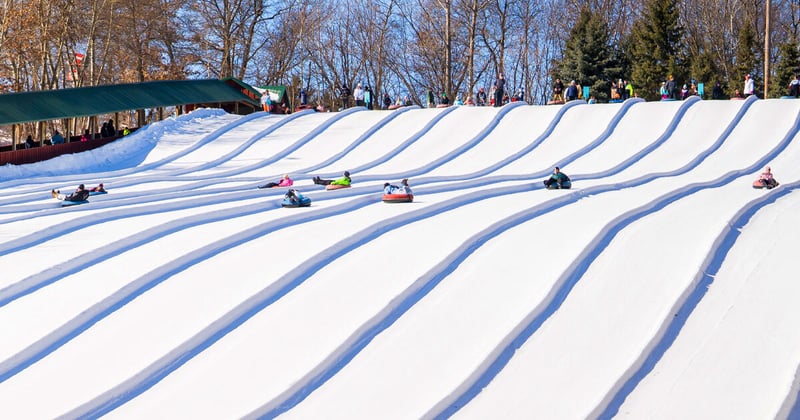 ⛷️'Tis the Season for Toboggans