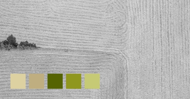 Jõgeva Maakond, Estonia