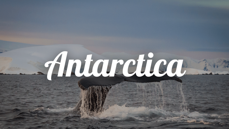 A Trip to Antarctica That Stays With You. Forever.